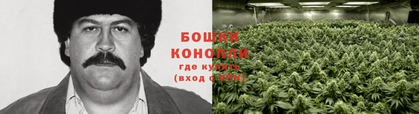 jwh Медвежьегорск