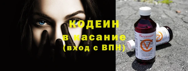 ПСИЛОЦИБИНОВЫЕ ГРИБЫ Михайлов