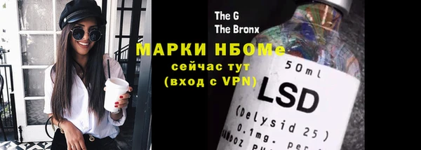 ПСИЛОЦИБИНОВЫЕ ГРИБЫ Михайлов