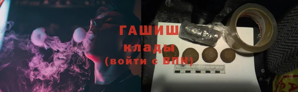 ПСИЛОЦИБИНОВЫЕ ГРИБЫ Михайлов