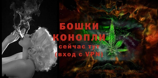 ПСИЛОЦИБИНОВЫЕ ГРИБЫ Михайлов