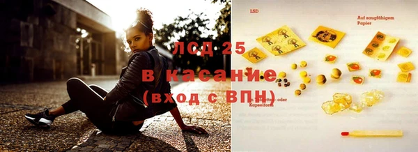 ПСИЛОЦИБИНОВЫЕ ГРИБЫ Михайлов