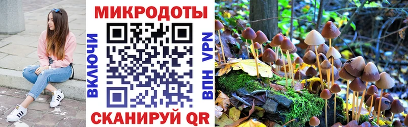 Псилоцибиновые грибы ЛСД  Мамадыш 